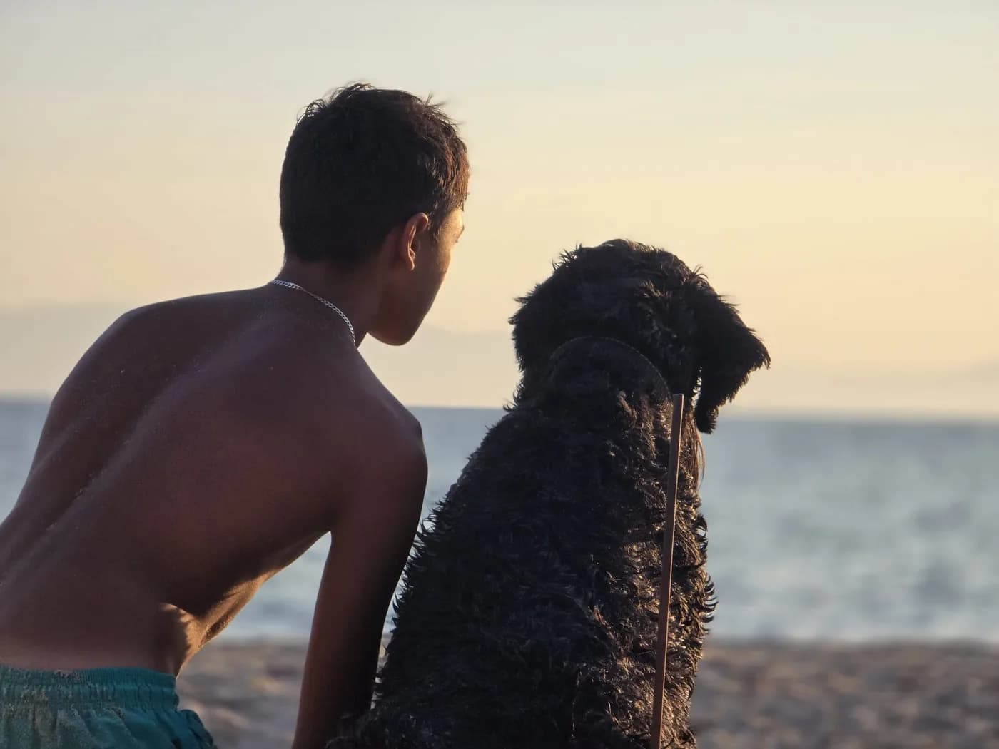 Oliver Rorzkowski sitting beside a large black dog on the beach at sunset, both looking out to sea